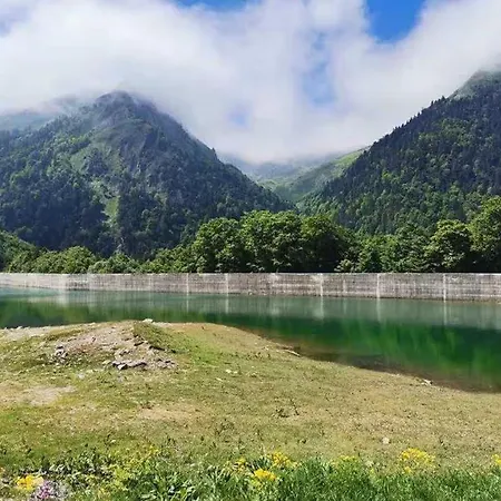 Апартаменты Apparemment Cheztony Vue Montagne Eaux-bonne Gourette *